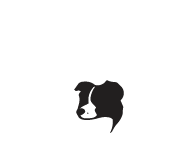 VSOS