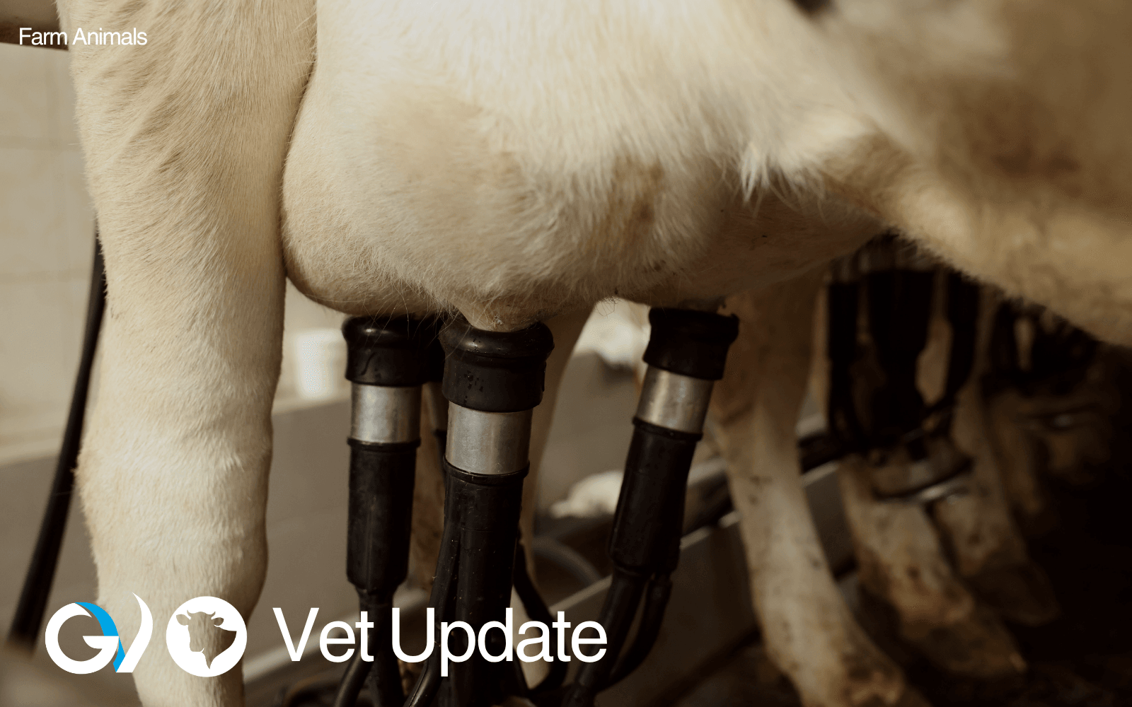 Farm Animal Vet Update - Feb March Farm Animal Vet Update - Feb March