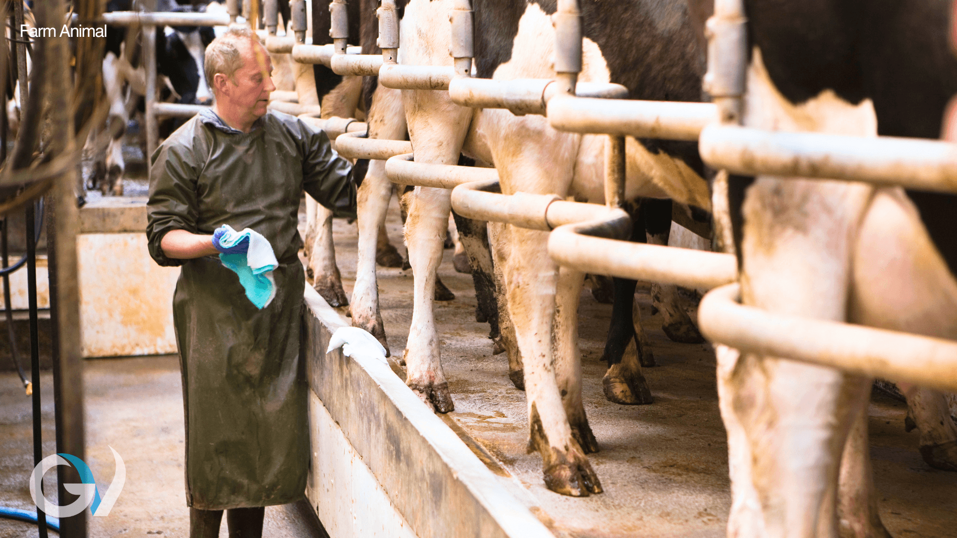 Endometritis & Metricheck - Improving Fertility by Identifying and Treating Early Endometritis & Metricheck - Improving Fertility by Identifying and Treating Early