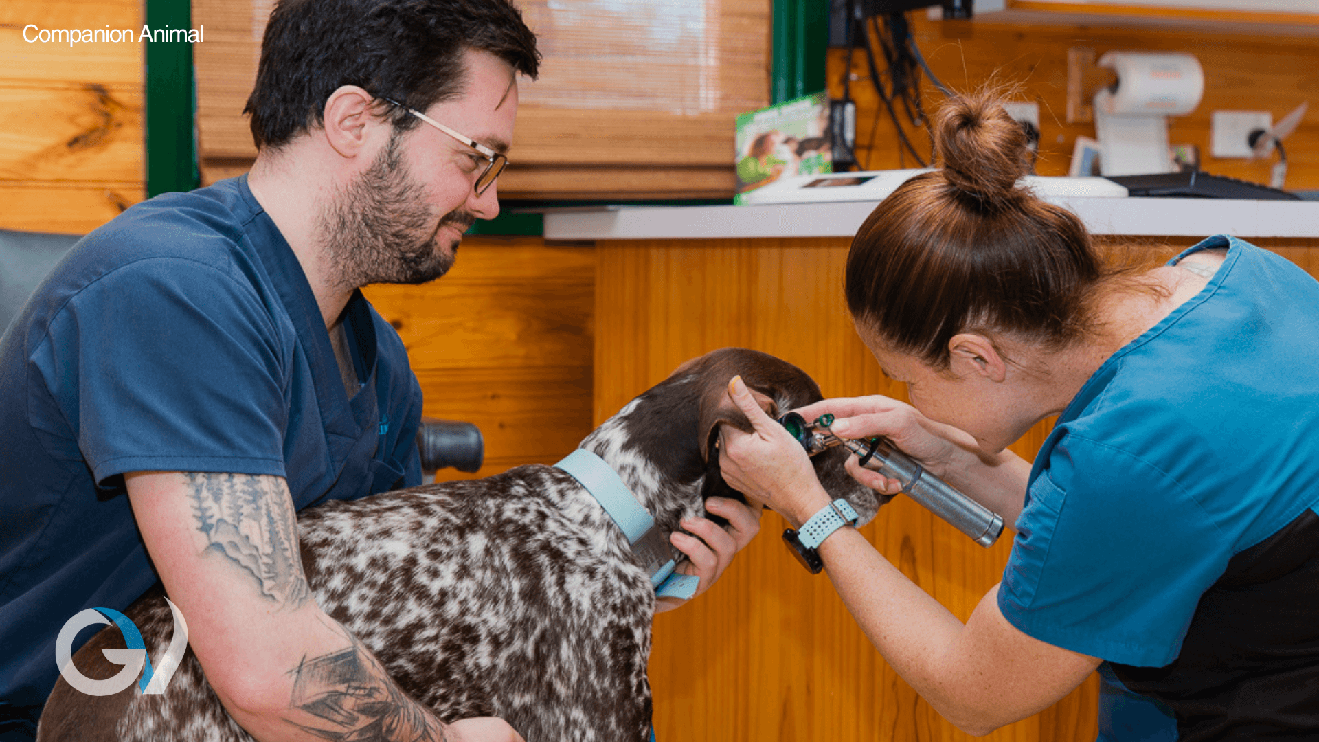 Preventive Health Care in Pets: Supporting Lifelong Wellbeing Preventive Health Care in Pets: Supporting Lifelong Wellbeing