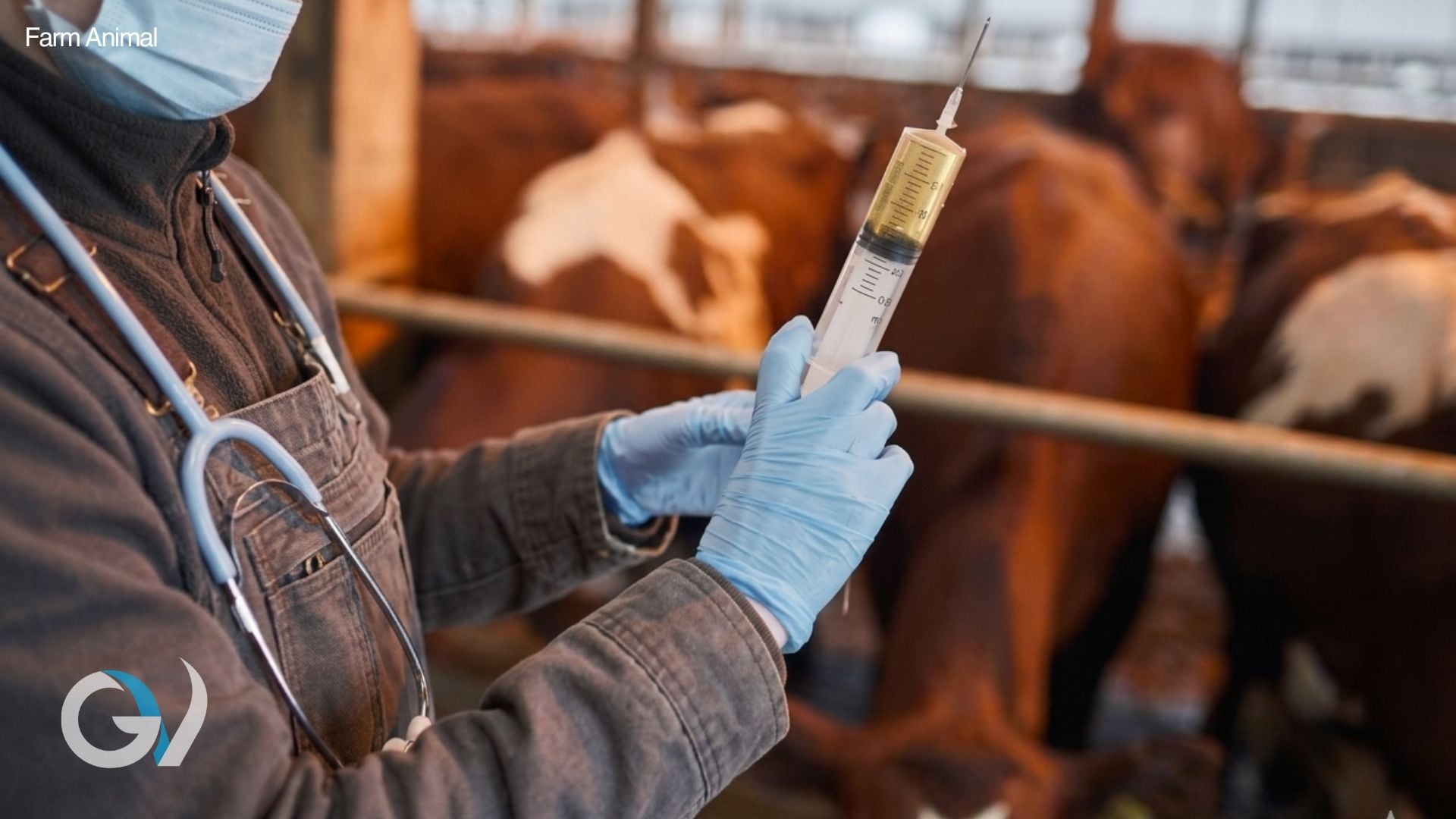 Antibiotic and Vaccine Storage | How Good is your System?