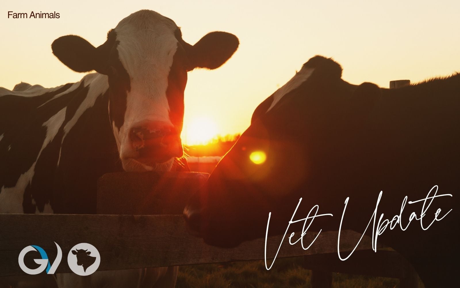 Farm Animal Veterinary Update - Autumn