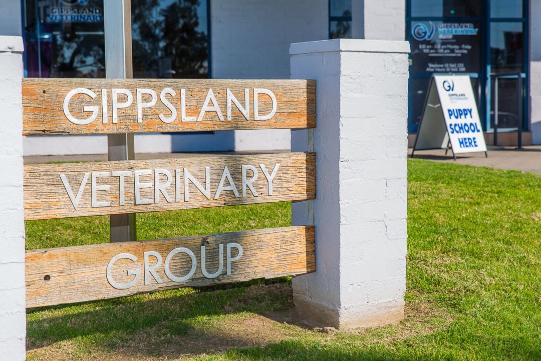 24/7 EMERGENCY VETERINARY CARE 24/7 EMERGENCY VETERINARY CARE