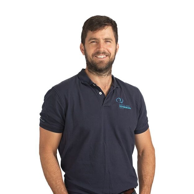 DR. PAUL BURDEN DR. PAUL BURDEN