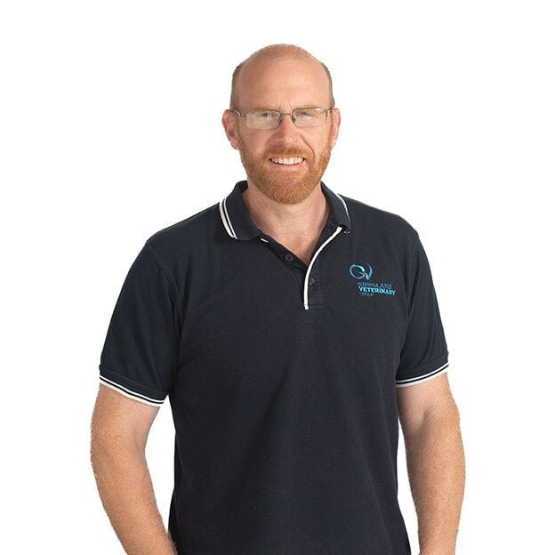 DR. TOM GILHEANY DR. TOM GILHEANY