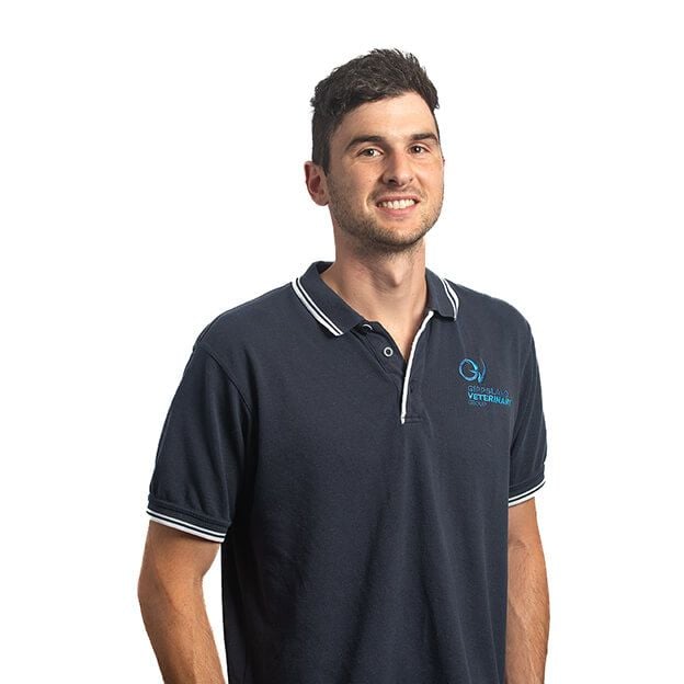 DR. MATTHEW DECICCO DR. MATTHEW DECICCO