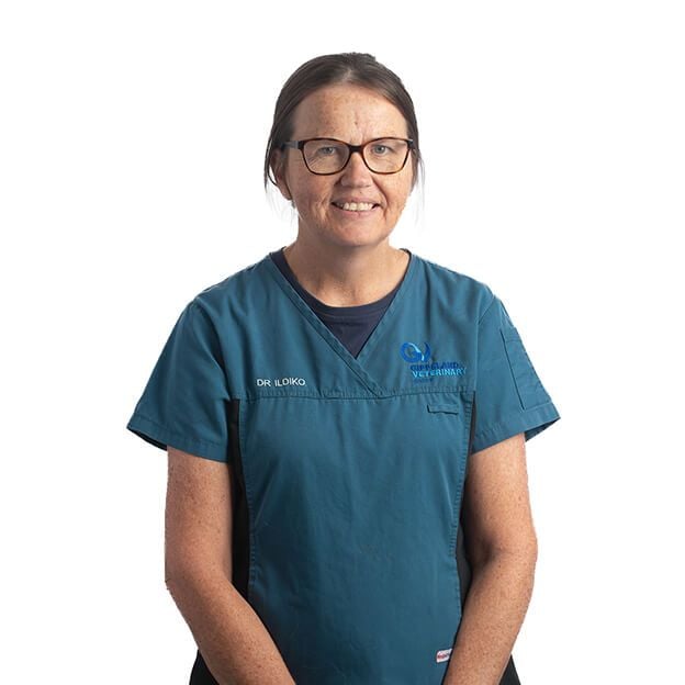 DR. ILDIKO PLAGANYI DR. ILDIKO PLAGANYI