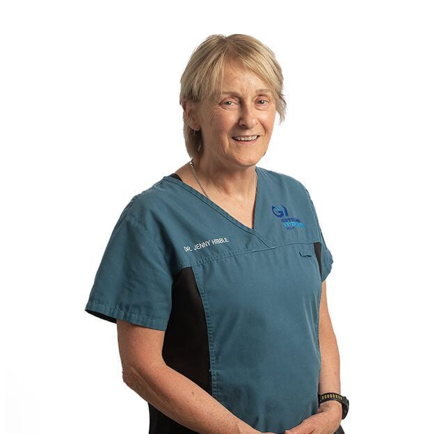 DR. JENNY HIBBLE DR. JENNY HIBBLE