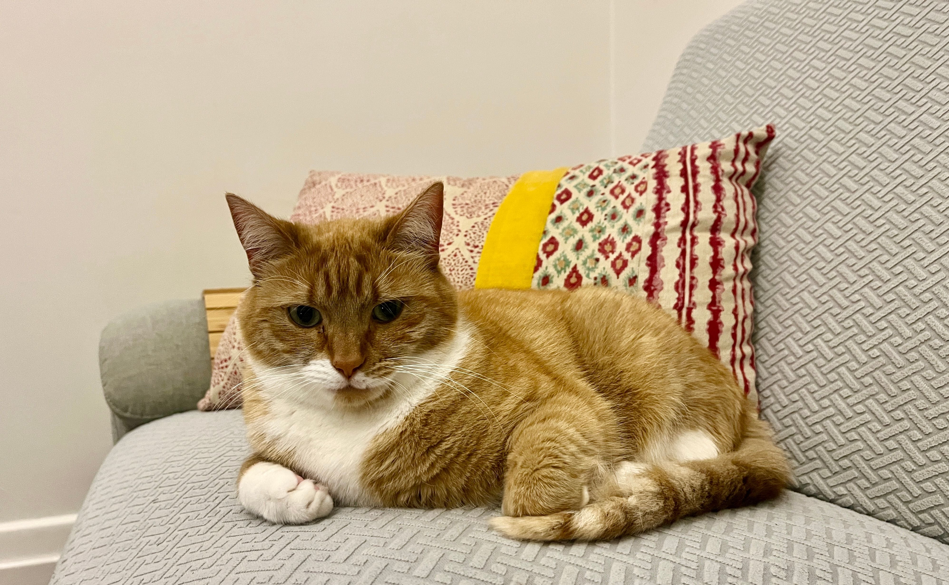 FLEXIBLE DENTAL CARE OPTIONS FLEXIBLE DENTAL CARE OPTIONS