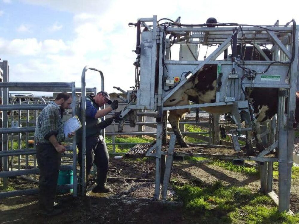 PREVENTIVE HEALTH AND PRODUCTIVITY PREVENTIVE HEALTH AND PRODUCTIVITY