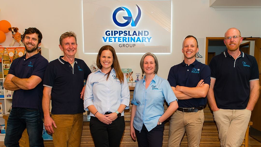 CURRENT DAY AND THE FORMATION OF THE GIPPSLAND VETERINARY GROUP