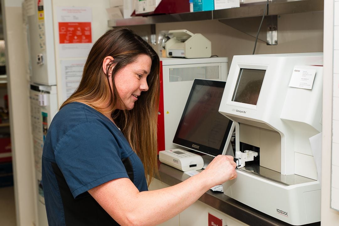 SIGNS YOUR PET MIGHT NEED DIAGNOSTIC TESTING SIGNS YOUR PET MIGHT NEED DIAGNOSTIC TESTING