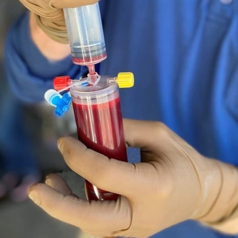 LAMENESS INVESTIGATION AND JOINT CARE