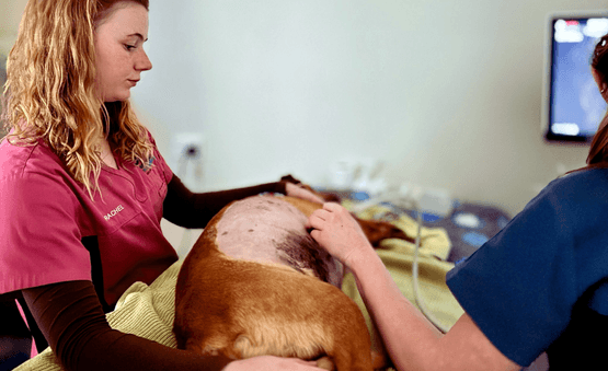 DIAGNOSTICS & LABORATORY CAPABILITY (ON-SITE) DIAGNOSTICS & LABORATORY CAPABILITY (ON-SITE)