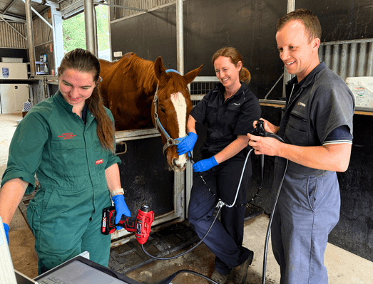 GASTROSCOPY GASTROSCOPY