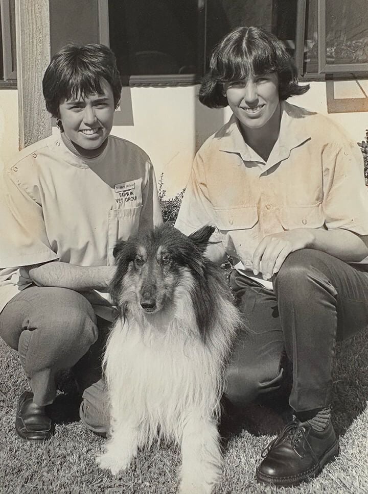 In the beginning - the 1950’s