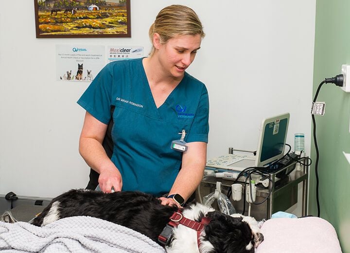 ULTRASOUND & ECHOCARDIOGRAPHY ULTRASOUND & ECHOCARDIOGRAPHY