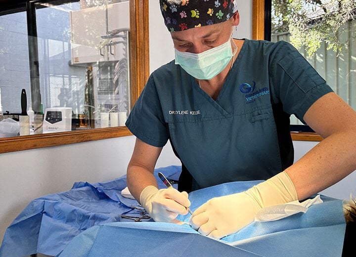 COMPANION ANIMAL SURGERY COMPANION ANIMAL SURGERY