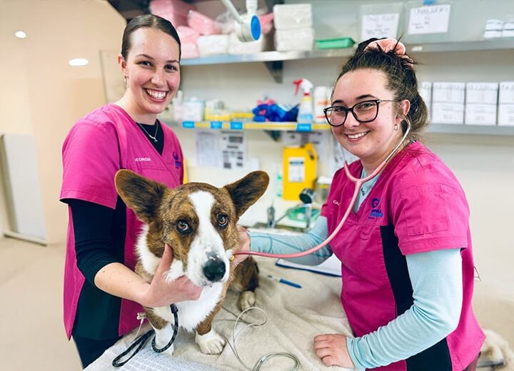 EMERGENCY & HOSPITALISATION EMERGENCY & HOSPITALISATION