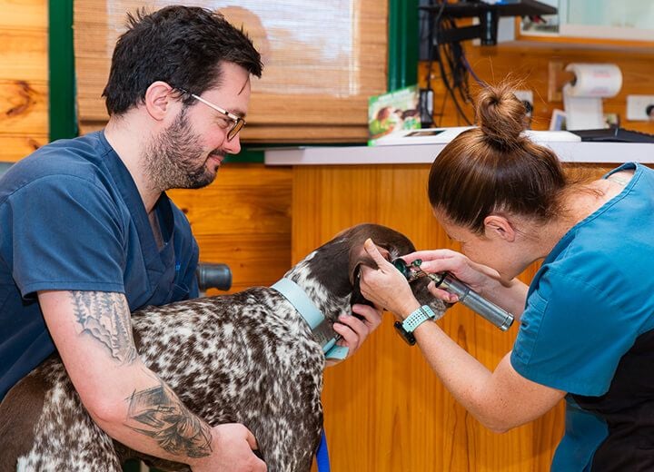 SIGNS YOUR PET MAY BENEFIT FROM A WELLNESS CHECK SIGNS YOUR PET MAY BENEFIT FROM A WELLNESS CHECK