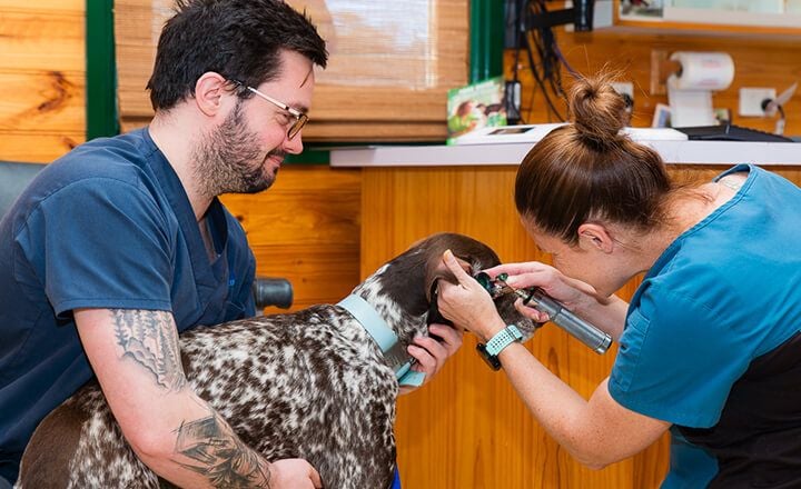 CONSULTATIONS & PREVENTATIVE CARE CONSULTATIONS & PREVENTATIVE CARE