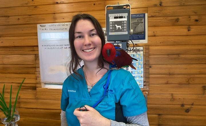 SURGERY & HOSPITAL CARE SURGERY & HOSPITAL CARE