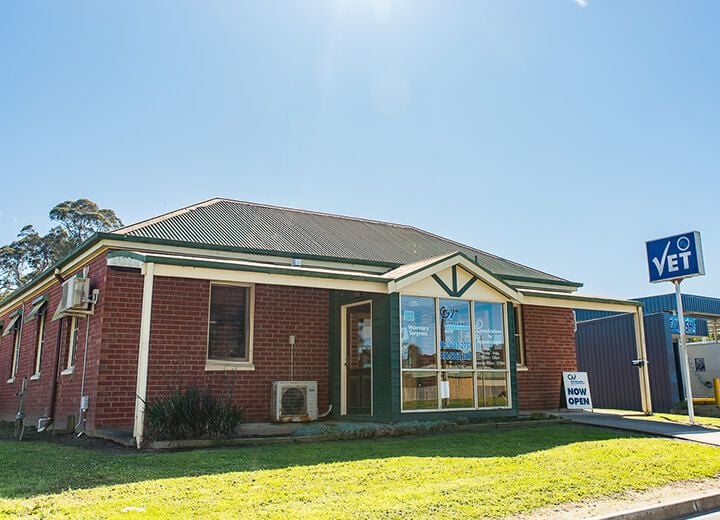 FOSTER VETERINARY CLINIC FOSTER VETERINARY CLINIC