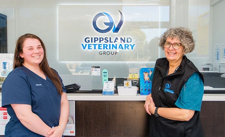 AVAILABLE NOW AVAILABLE NOW