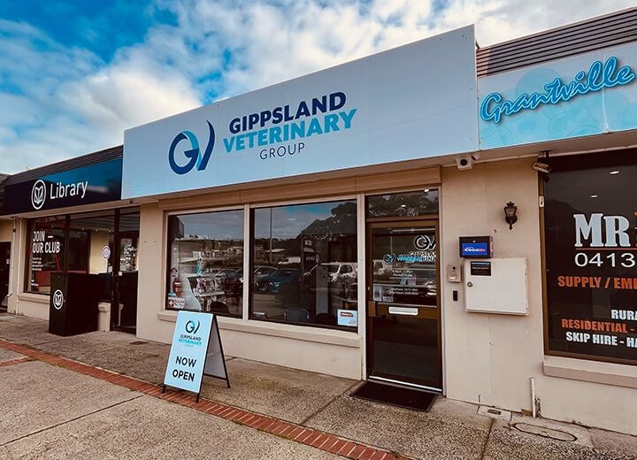 GRANTVILLE VETERINARY CLINIC GRANTVILLE VETERINARY CLINIC