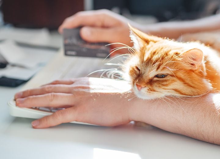 STANDARD PAYMENT METHODS STANDARD PAYMENT METHODS