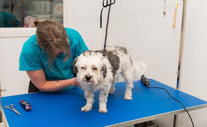 CONSULTATIONS & PREVENTIVE MEDICINE CONSULTATIONS & PREVENTIVE MEDICINE