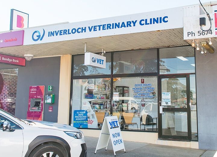INVERLOCH VETERINARY CLINIC INVERLOCH VETERINARY CLINIC