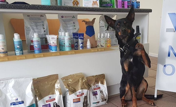 PRODUCTS & PRESCRIPTIONS PRODUCTS & PRESCRIPTIONS