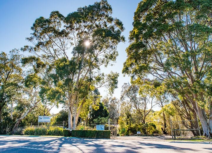 LEONGATHA LIVESTOCK & EQUINE CENTRE LEONGATHA LIVESTOCK & EQUINE CENTRE