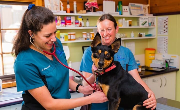 CONSULTATIONS & PROCEDURES CONSULTATIONS & PROCEDURES