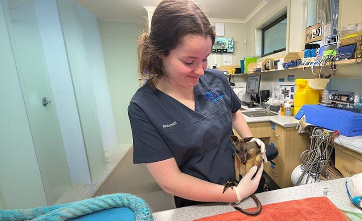 SURGICAL & DENTAL CARE SURGICAL & DENTAL CARE