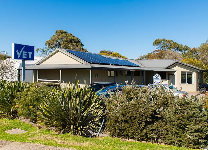 NEWHAVEN VETERINARY CLINIC NEWHAVEN VETERINARY CLINIC