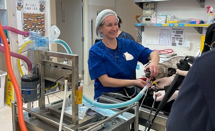 SURGICAL EXPERTISE SURGICAL EXPERTISE