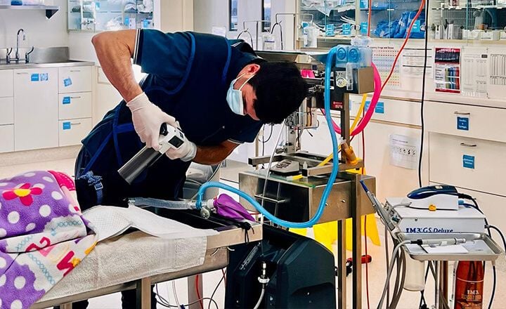 DIAGNOSTICS & MEDICAL IMAGING DIAGNOSTICS & MEDICAL IMAGING