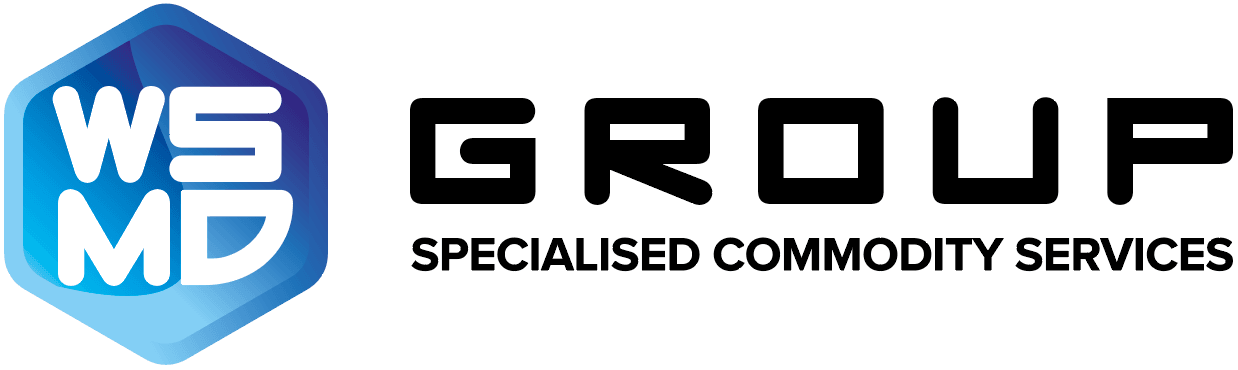 WSMD Group