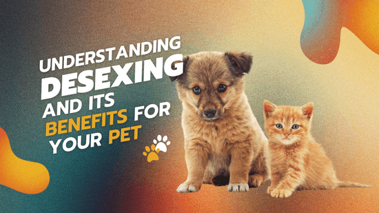 Desexing Your Pet: Timing, Benefits, and What to Expect