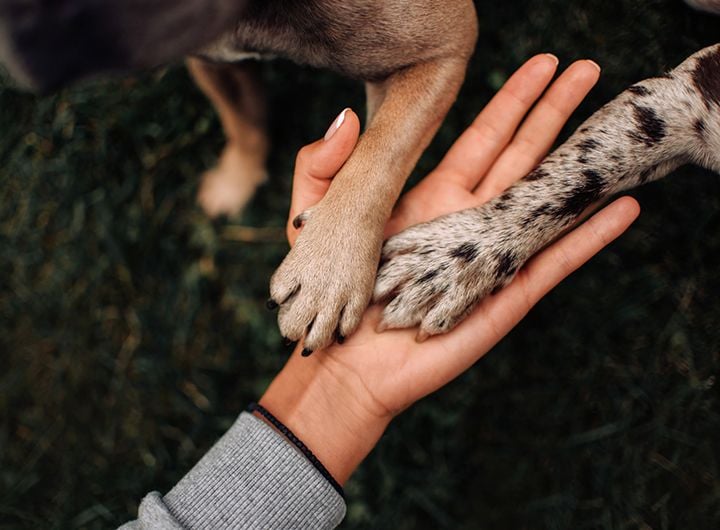 End of Life Care End of Life Care