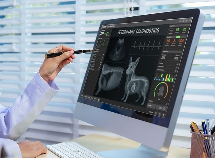 In-Home Diagnostics for Pets - Mobile Vet Service