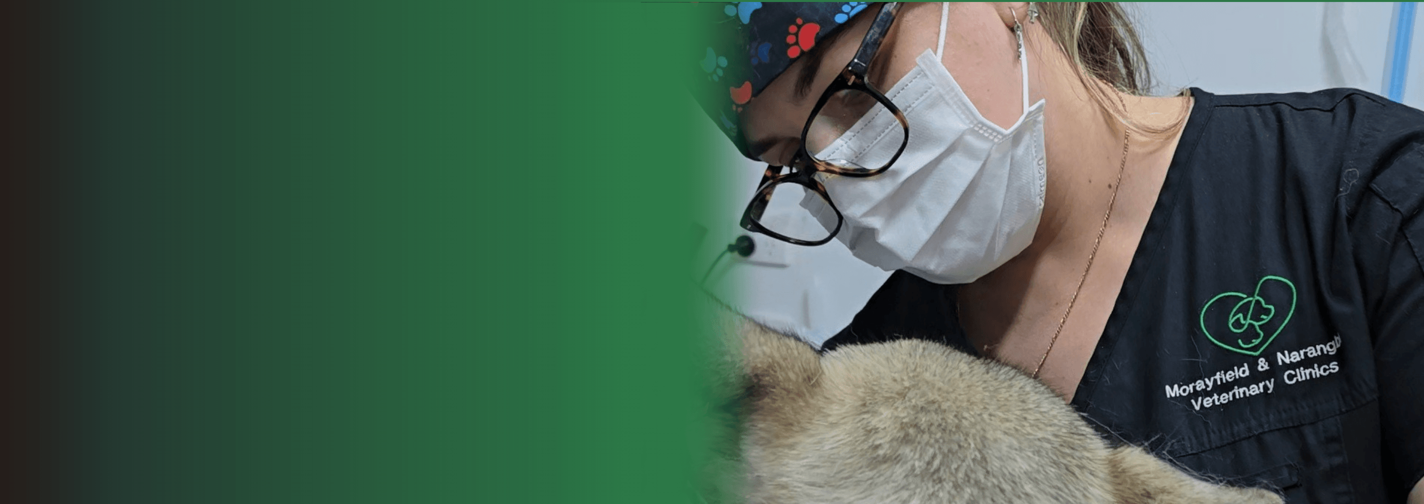 morayfield vet nurse