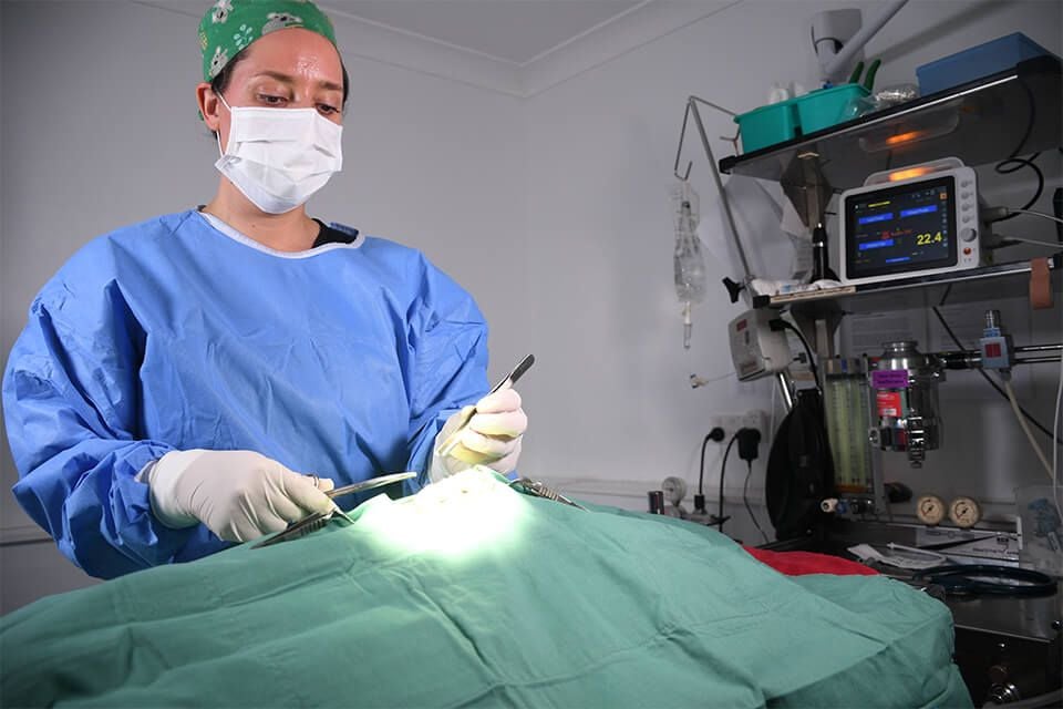 LUMP REMOVALS LUMP REMOVALS