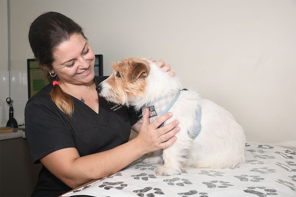 Morayfield Veterinary Surgery/Narangba Veterinary Clinic Morayfield Veterinary Surgery/Narangba Veterinary Clinic