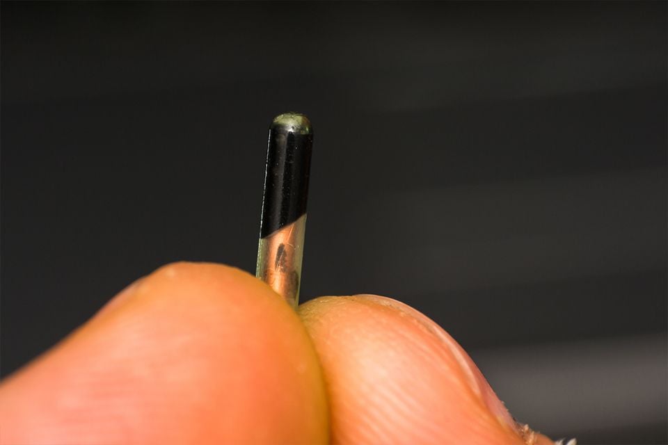 Microchipping Microchipping