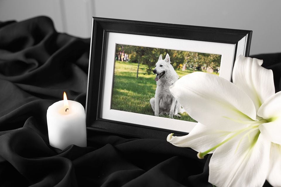 AFTERCARE & MEMORIAL OPTIONS AFTERCARE & MEMORIAL OPTIONS