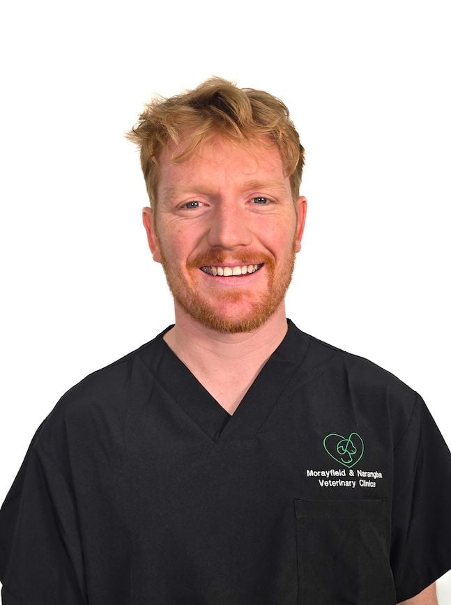 Dr. Callum Bettington BVSc MBA