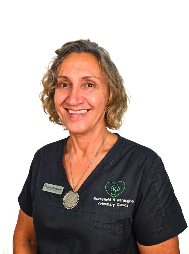 Dr. Jenni Anderson BVMS BSc Dr. Jenni Anderson BVMS BSc